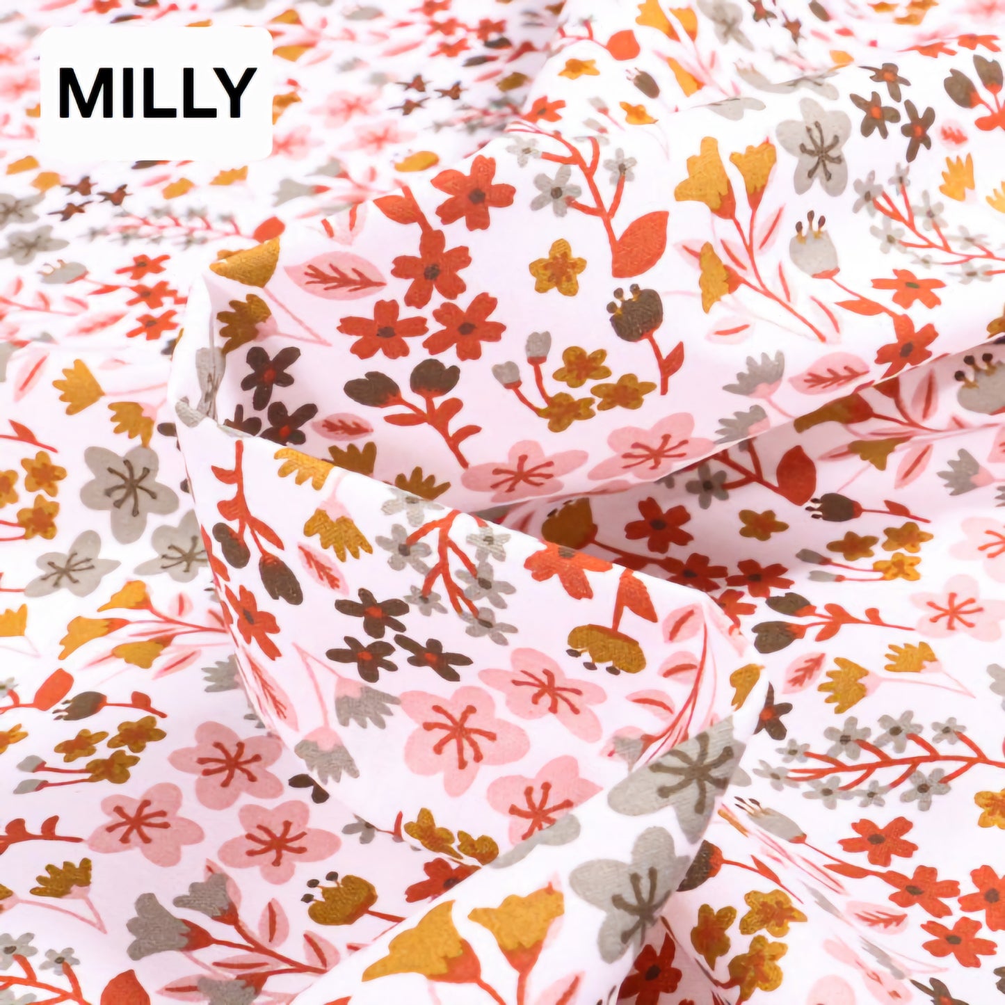 Charlotte Couvre plat